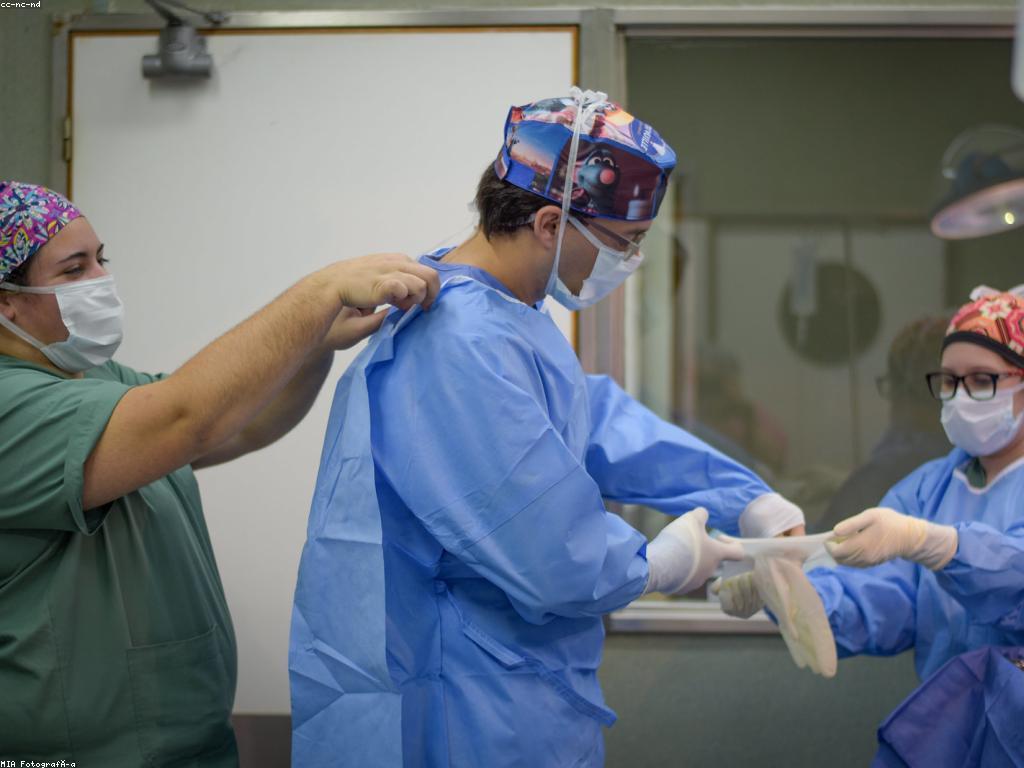 អត្ថប្រយោជន៍នៃការផ្តល់ជូនស្លុត